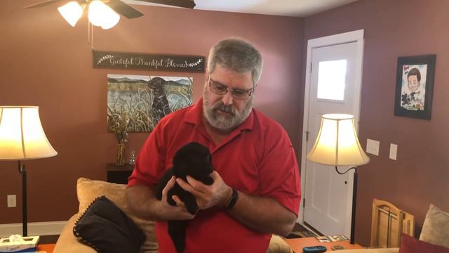 Pink puppy. Week 5 temperament test.