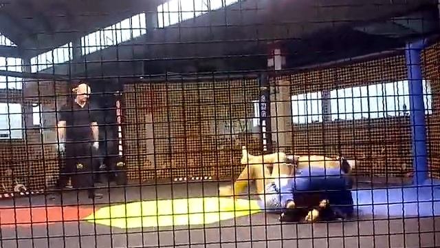 Esibizione Di MMA Di Anderson Da Silva