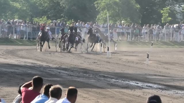 Trka "Probni Derby" 30.06.2019 Imola - Branko Skenderović