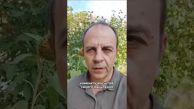 Отзыв о работе с Александром Бачинским