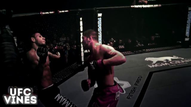JEREMY STEPHENS