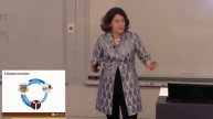 Lessons Learned from an Adolescent Social Enterprise: Catherine Gill