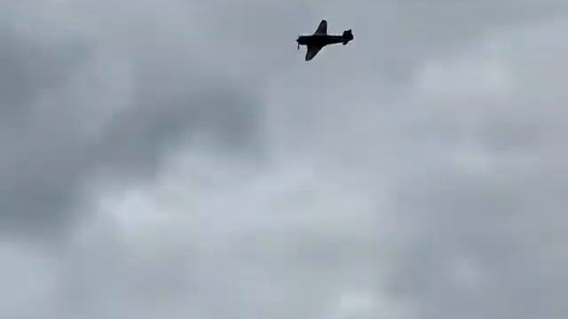 Jak-11 over Ober-Ramstadt