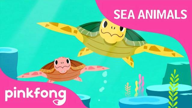 Tooty Ta Sea Turtle | Sea Animals Songs | Pinkfong Songs for Children