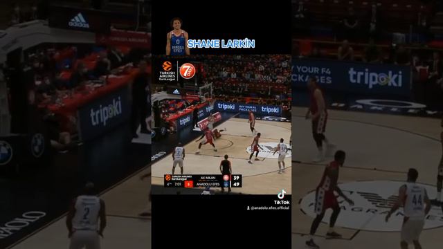 SHANE LARKİN Anadolu Efes basketbol Euroleague basketball İstanbul