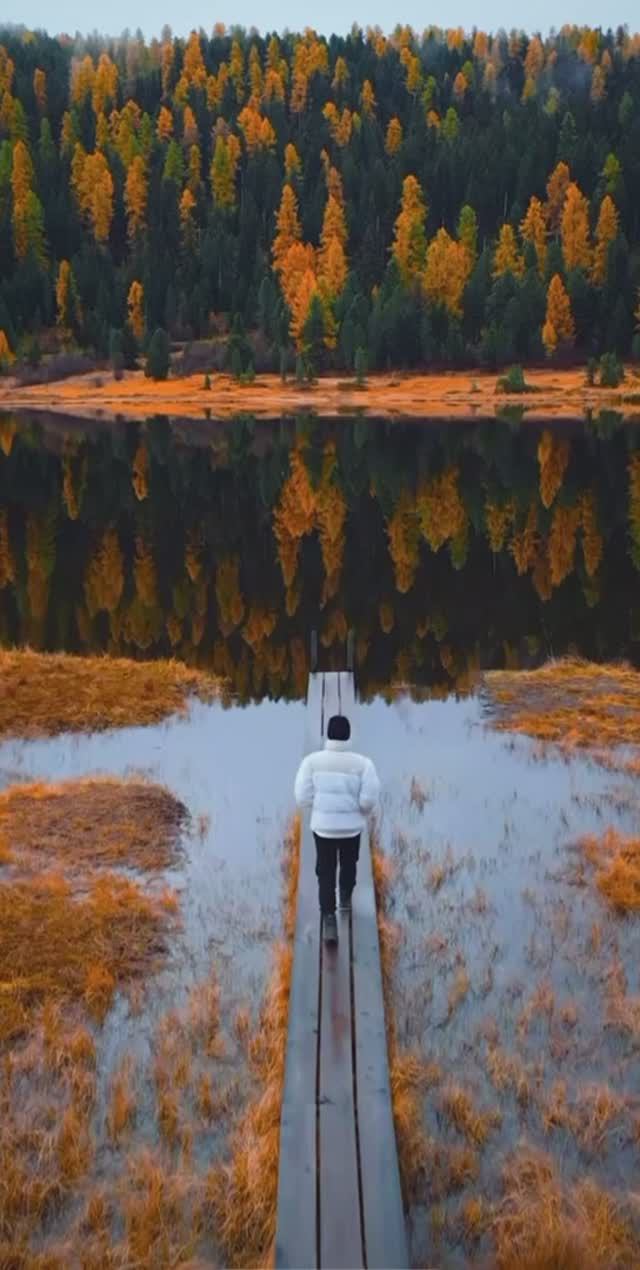 Карелия 🌳🌲