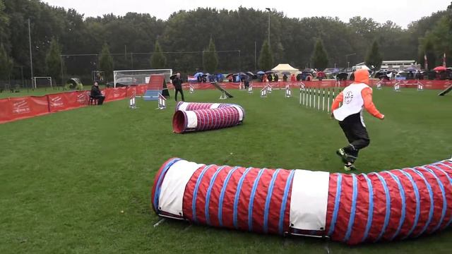 World Championship Agility German Shepherds Kim Bokdam Mo van de Farmers Corner