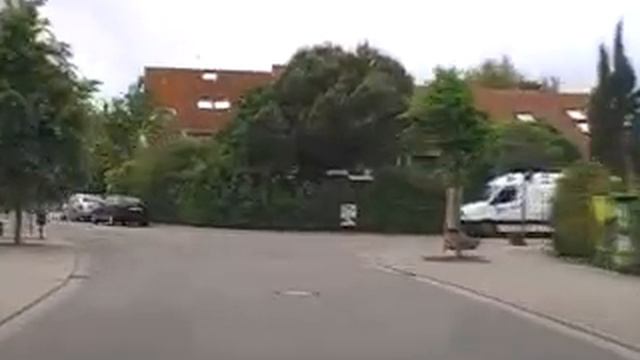 Autofahrt durch Birkenheide