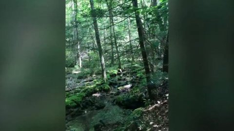 Kelly in a Kilt: Hiking with a Breeze