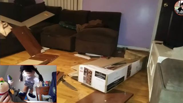 Hsu Verne Reacts: William's Walmart Shelf Assembling Disaster!!! Reaction (w/ Bowers Junior)