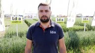 СОФРУ CS, МОНТЕКРИСТО CS, ФЛАВОР CS – СОРТОВЕТЕ ЗА ВИСОКИ ДОБИВИ