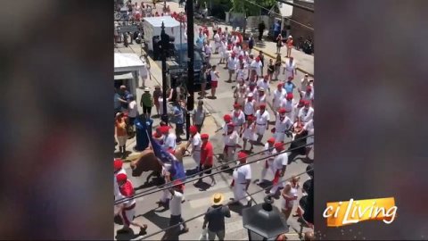 Ernest Hemingway Look Alike