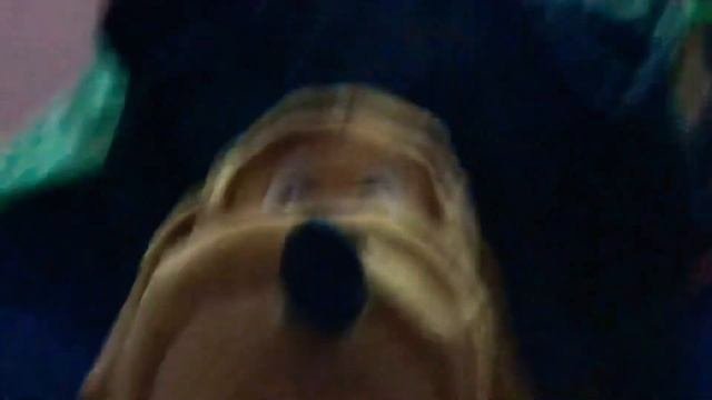 ISILL Reveal My Face If This Video Gets 3 Likes