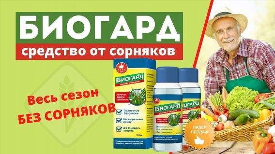 💣 АГРО ДЛЯ УНИЧТОЖЕНИЯ СОРНЯКОВ 🔵 СОРНЯКИ БОРЬБА