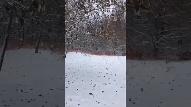 2023 10 28  Кирилл ТАРЛЫКОВ  и Иван Затевахин