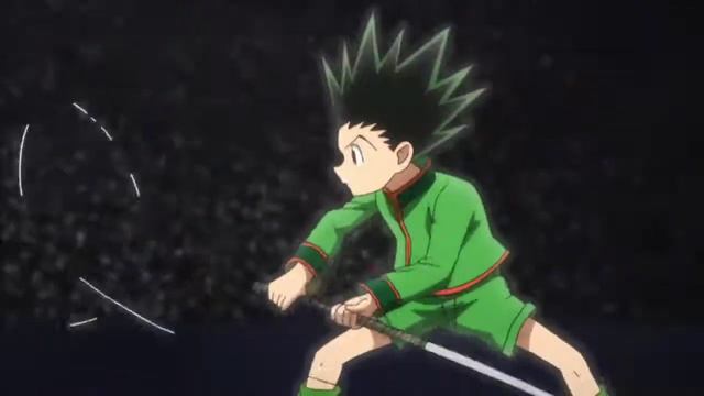 Hunter X Hunter Gon VS Gido Rematch