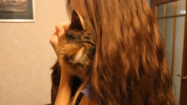 Kat