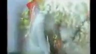 Punjabi Totay Bakra Mandi