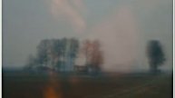 Gino Caiafa legge NELLA TANA DELLA NEBBIA di Marina Corradi