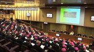 Cardinal Erdő on the Synod: Pressures that do not have theological standing, trigger division