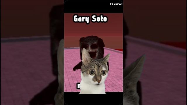 1000406099.mp4