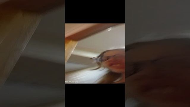 Вероника плей тиви