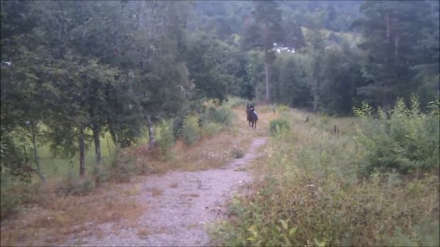 Besøk til Valle, sommeren 2013