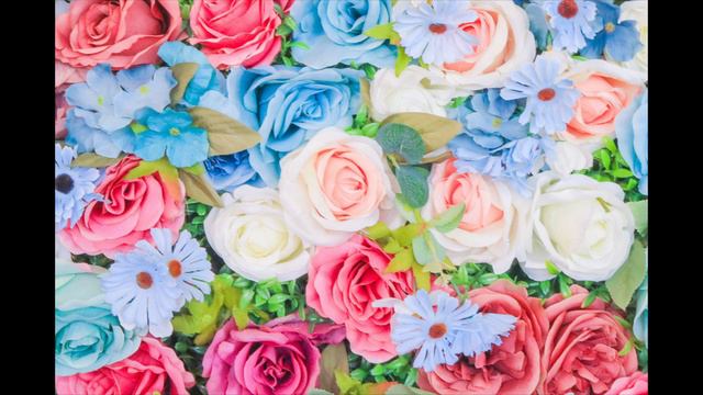 Kaede(中原麻衣)「ミルモのワルツ」を早未が歌ってみた(わがまま☆フェアリーミルモでポン!ED)