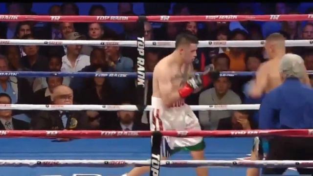Brawl | Brandon Rios | Mike Alvarado 1