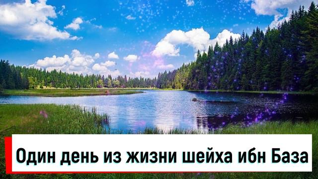 Один день из жизни шейха ибн База
