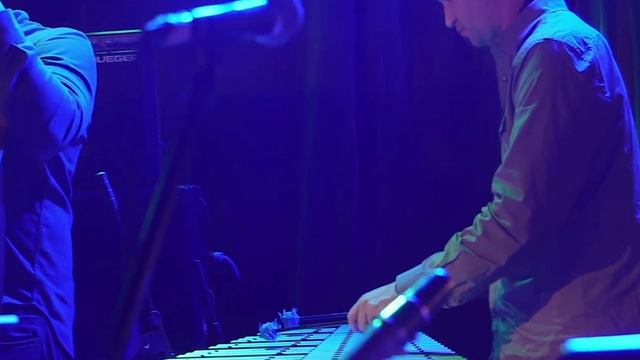 Barrett Martin - The Spider Pimp (Live)