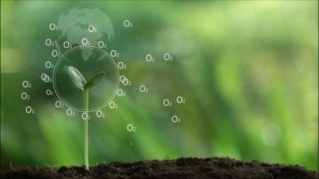 Happy Green New Year 2023! - Segene