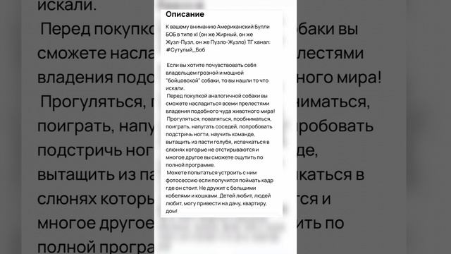 Юмористы Авито🤣. Часть 16