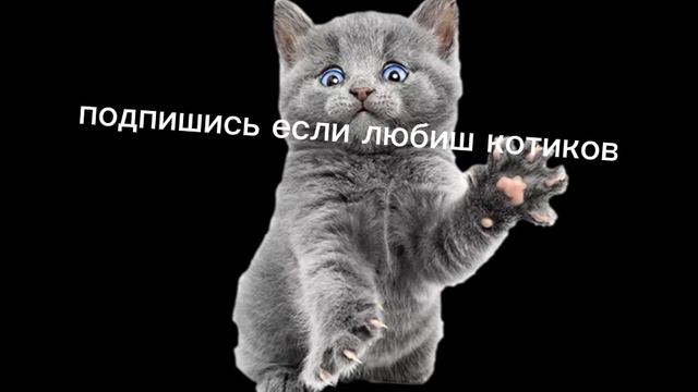 28 августа 2022 г.