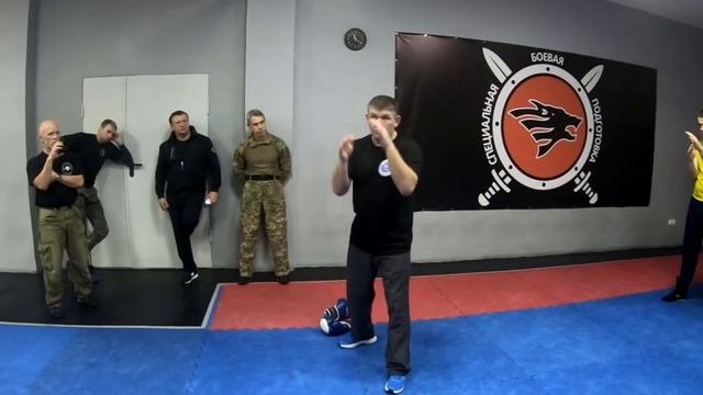 Михаил Грудев. Техника защиты. Боевое искусство ИЗВОР