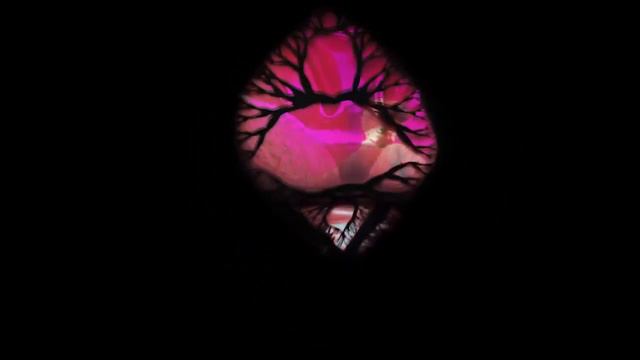 Björk - Lionsong (Live)
