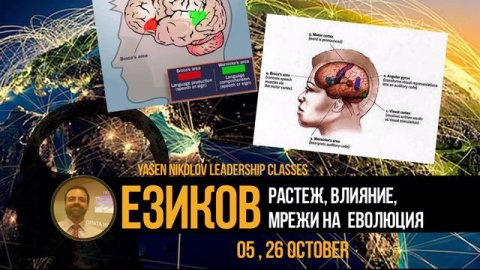 Мозък и Език. Реч, Текст и Нео-Кортекс. Зони на Вернике и Брока. Лидерска неврология.