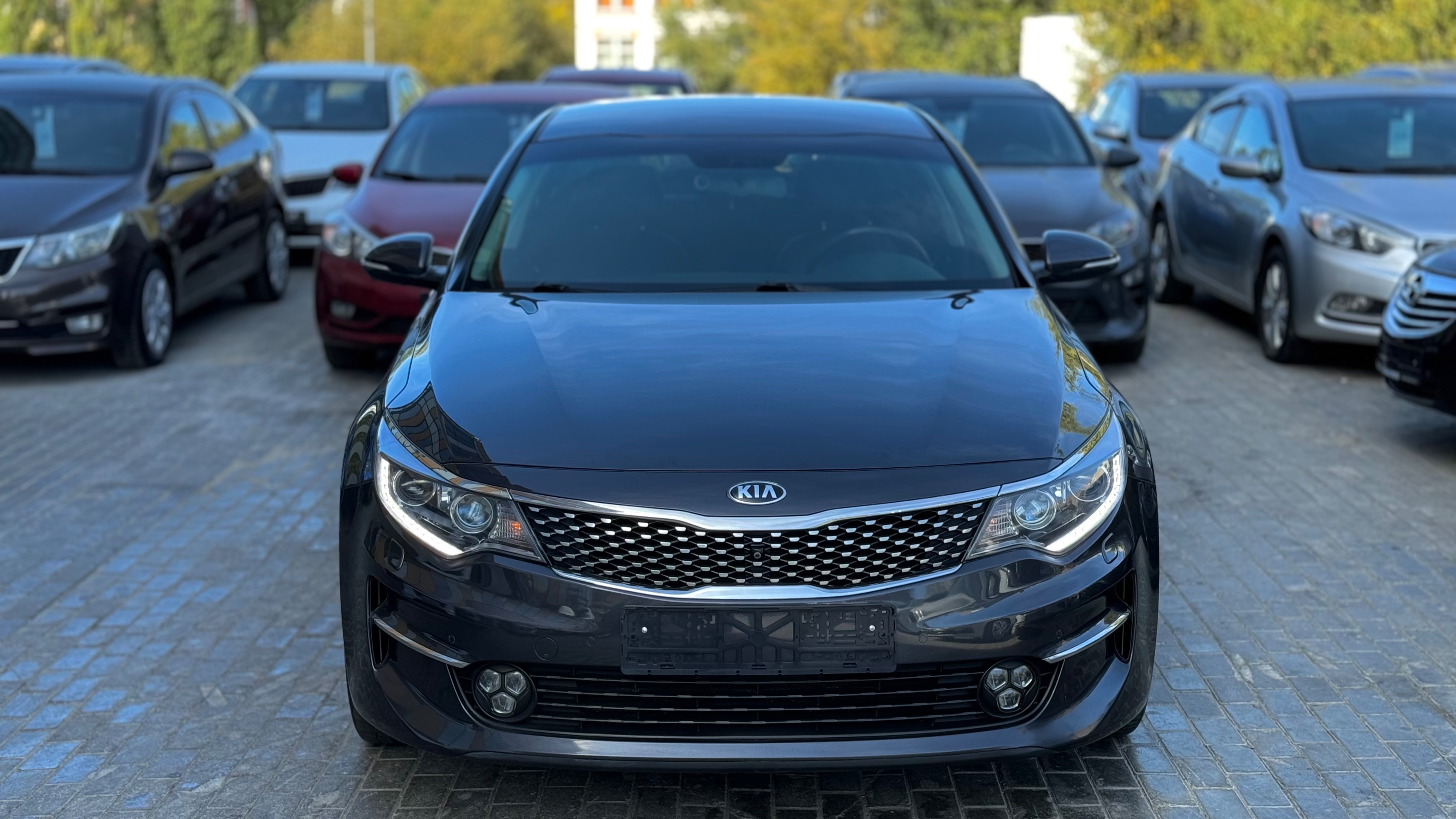 Kia Optima