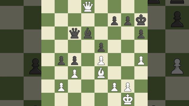 Krasenkow Michal (POL) VS Hartvig Ove Weiss (DEN)