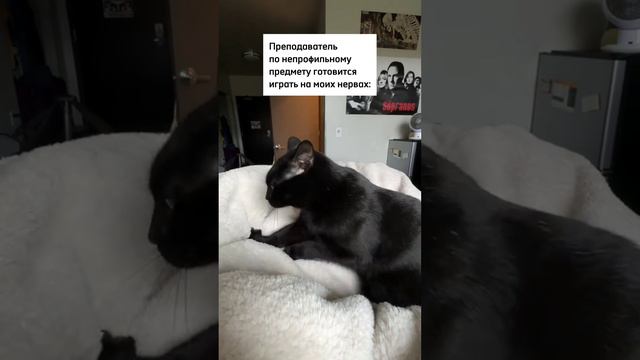 Сколько можно играть на моих нервах?