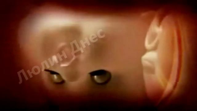 Люлин Днес ТЕСТ