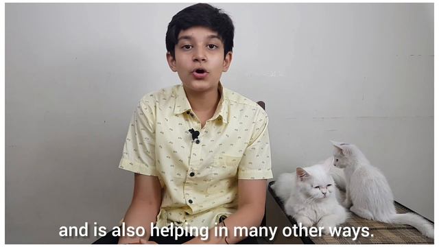 Donate to Palestine 🇵🇸 HOW YOU CAN HELP THE PALESTINIANS from Your Home