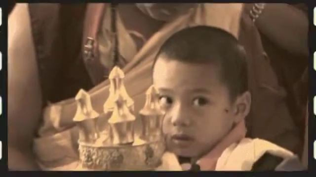 chimmy rinpoche 1