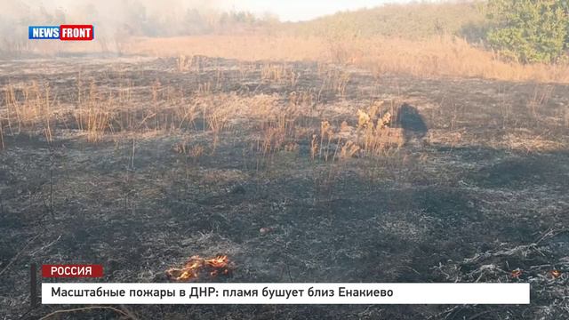 Масштабные пожары в ДНР: пламя бушует близ Енакиево