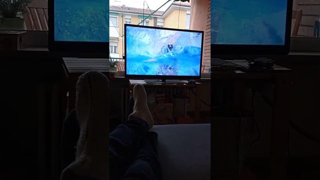 Miressi Oro 100 Sl Vasca Corta 2021 - 21 Dicembre