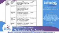 CONCEJO MUNICIPAL - Sesión Ordinaria N°30