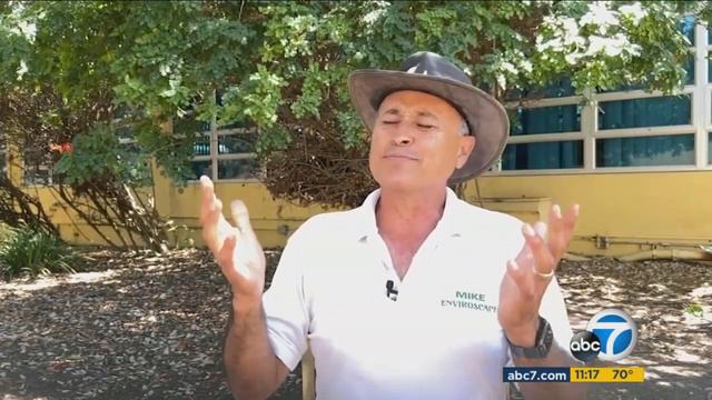 ABC 7 News Features Mira Costa Senior: Jordan Karambelas Builds Aquaponics System
