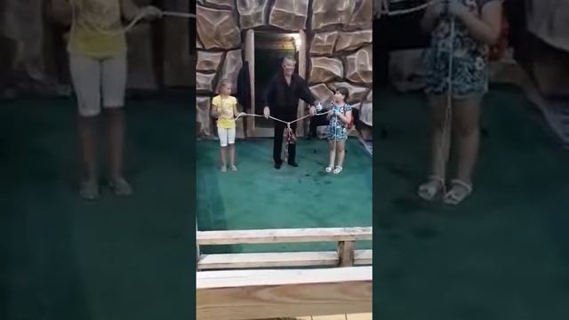 Фокус