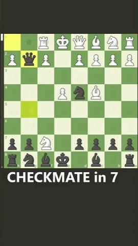 CHECKMATE in 8 (BS Gambit)