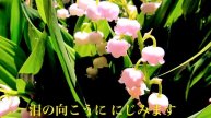 花挽歌 香西かおり (#5キー) Cover Kent Haze